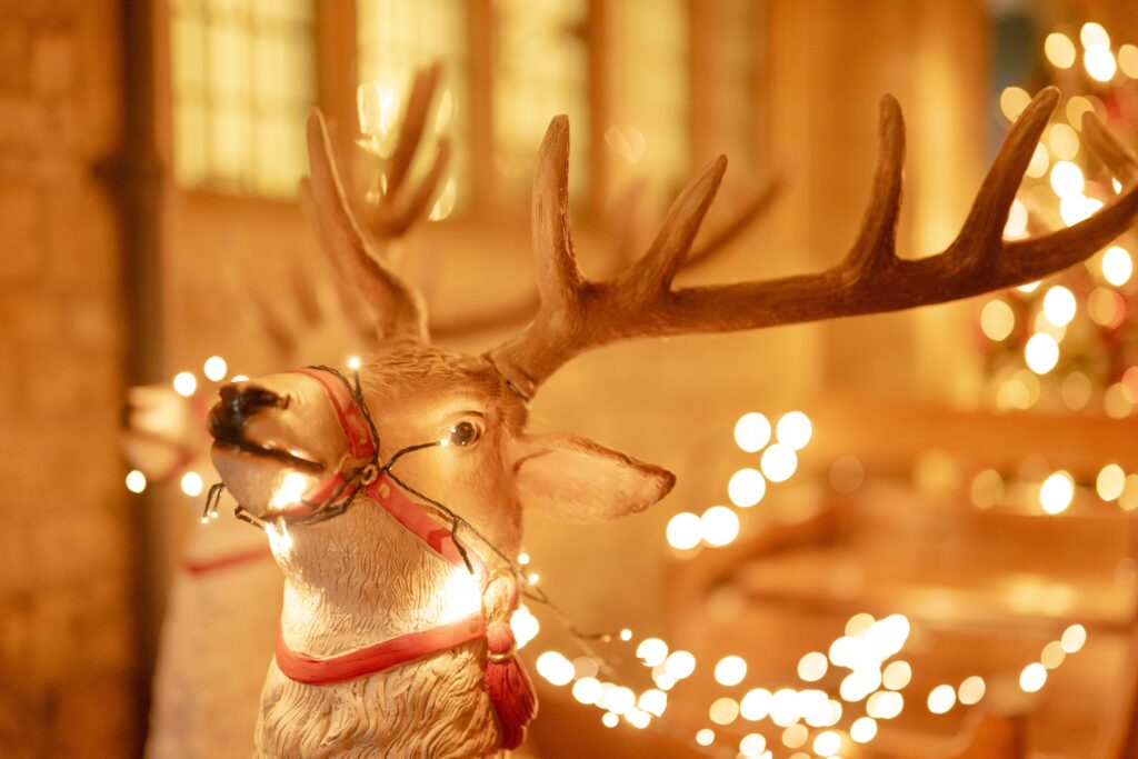 Reindeer trail and grotto image